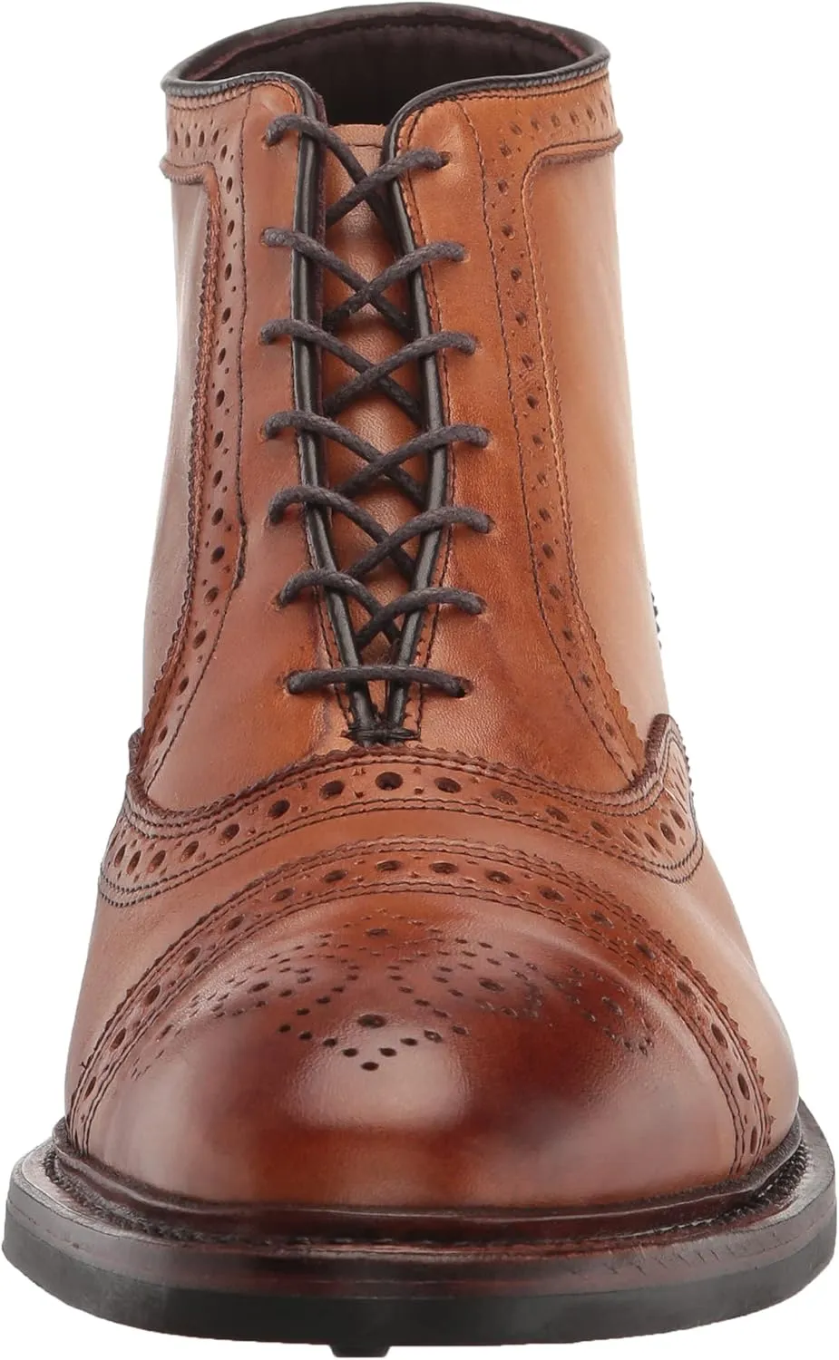 Allen Edmonds Men's Hamilton Wp Oxford Boot