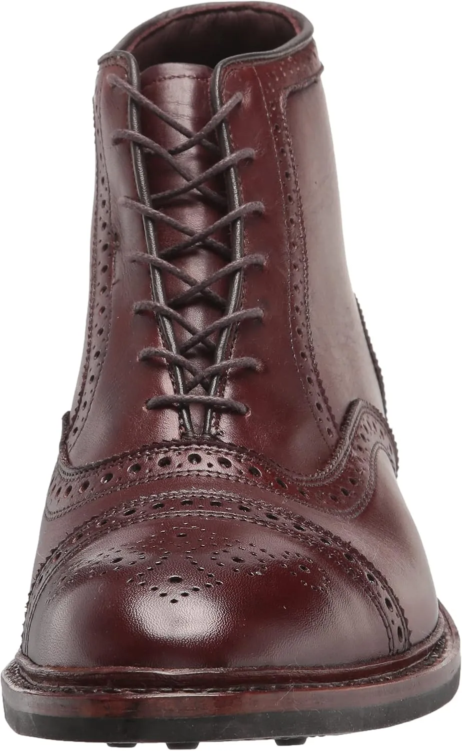 Allen Edmonds Men's Hamilton Wp Oxford Boot