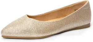 DREAM PAIRS Women's Pointed Toe Ballet Flats Dress Flats Comfort Dressy Flats Shoes