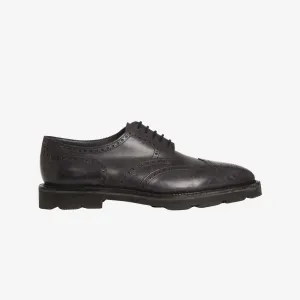 Hayle Oxford Brogue