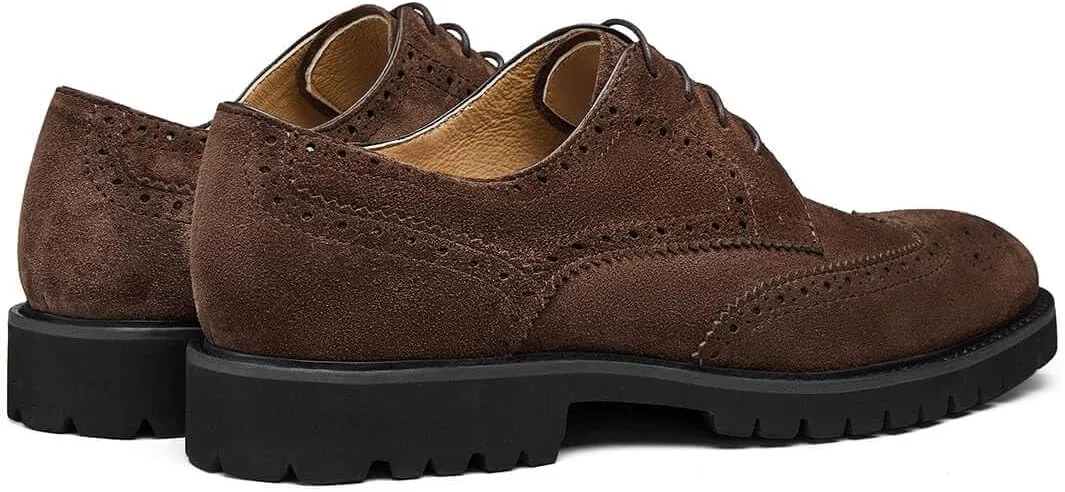 Jepsengord Men's Dress Shoes Wingtip Genuine Cowhide Leather Oxfords with Brogue Derby Shoes for Wedding, Business, Fomal Occasions