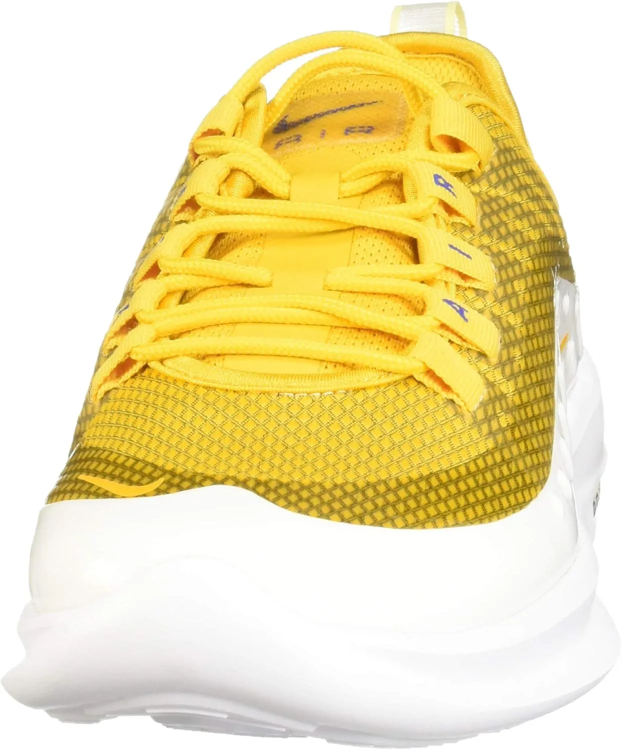 Nike Women's Running Shoes